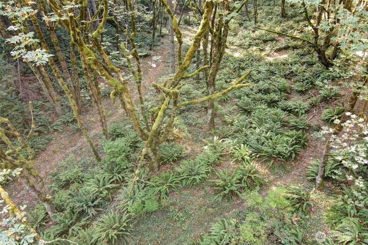 Property Photo: 37 Xxx SE 212th Way WA 98075