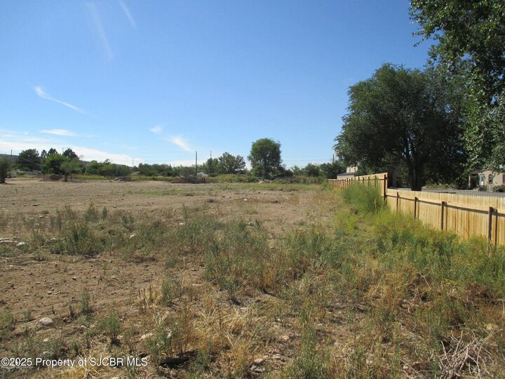 Property Photo:  1305 S Carlton Avenue  NM 87401 