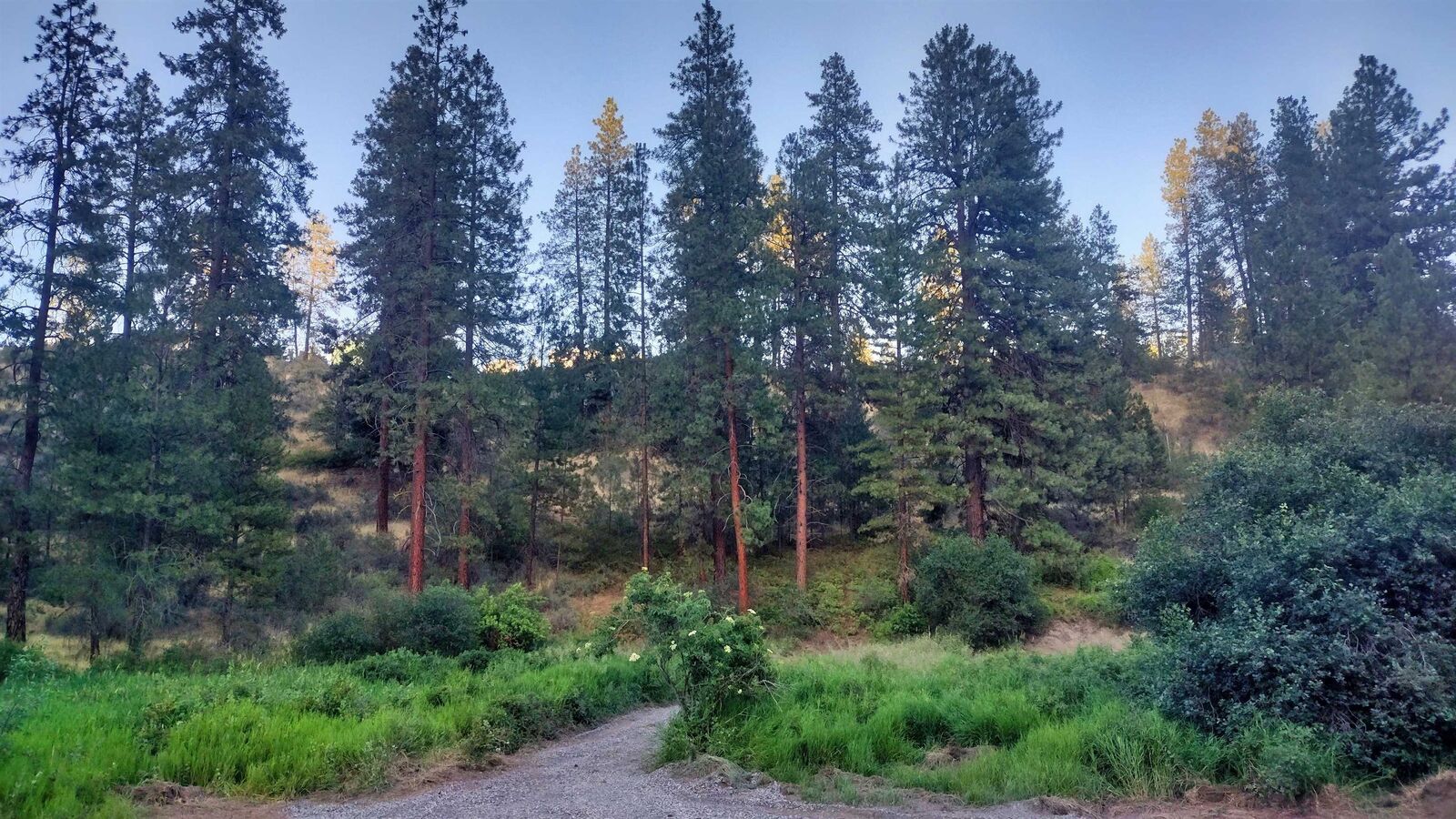 Property Photo:  38010 Redwine Canyon Rd N  WA 99147 