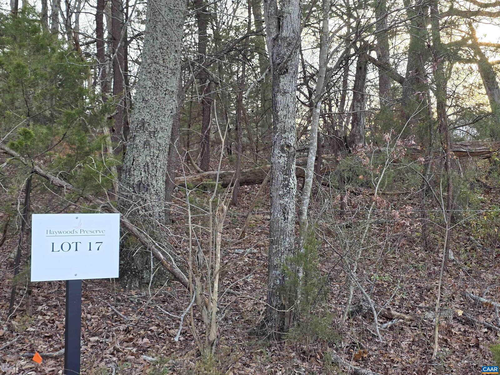 Property Photo: Lot 17 Pea Ridge Rd VA 22973