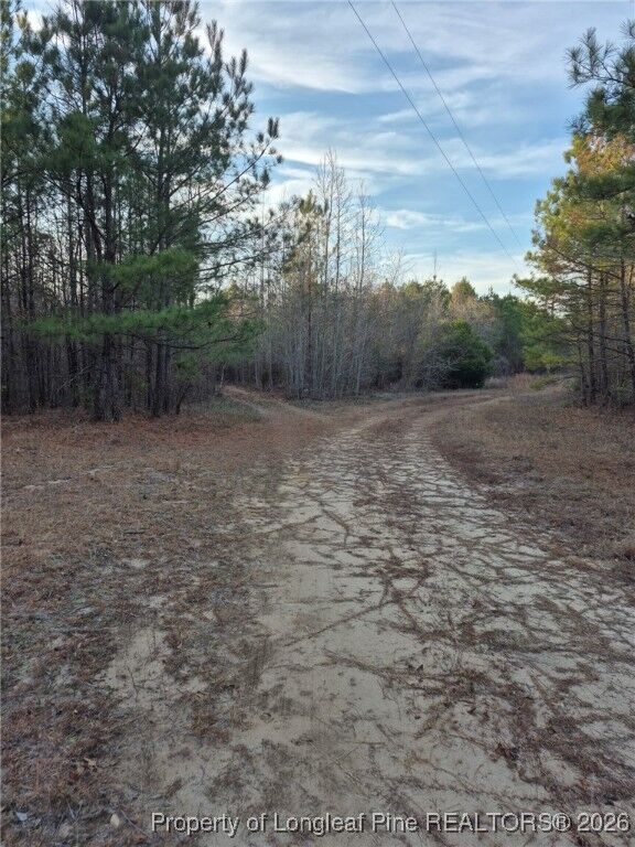 Property Photo:  0 Fields Road  NC 28312 
