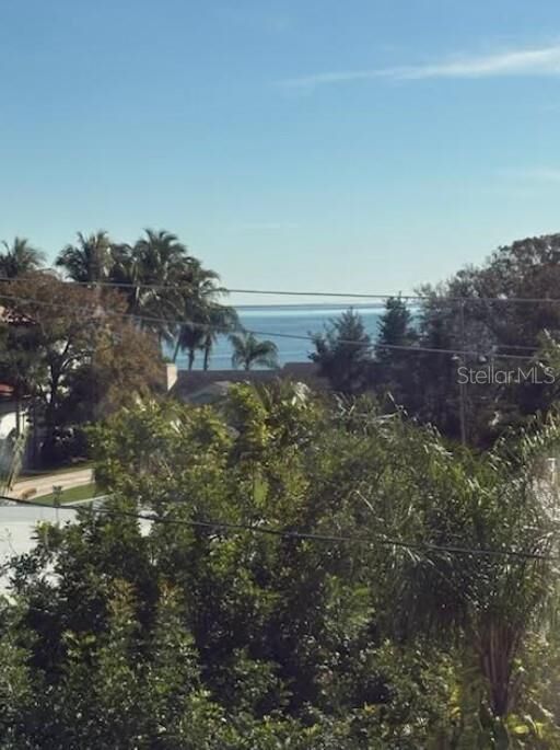 Property Photo: 577 W Davis Boulevard FL 33606