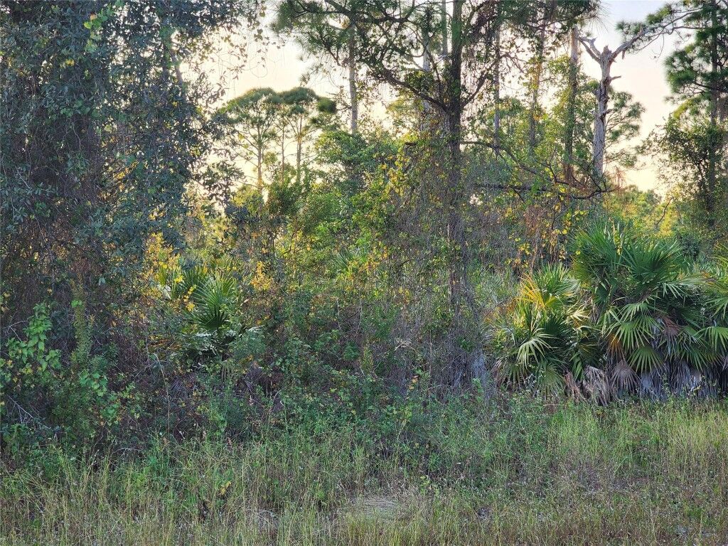 Property Photo: 842 Genoa Avenue FL 33974