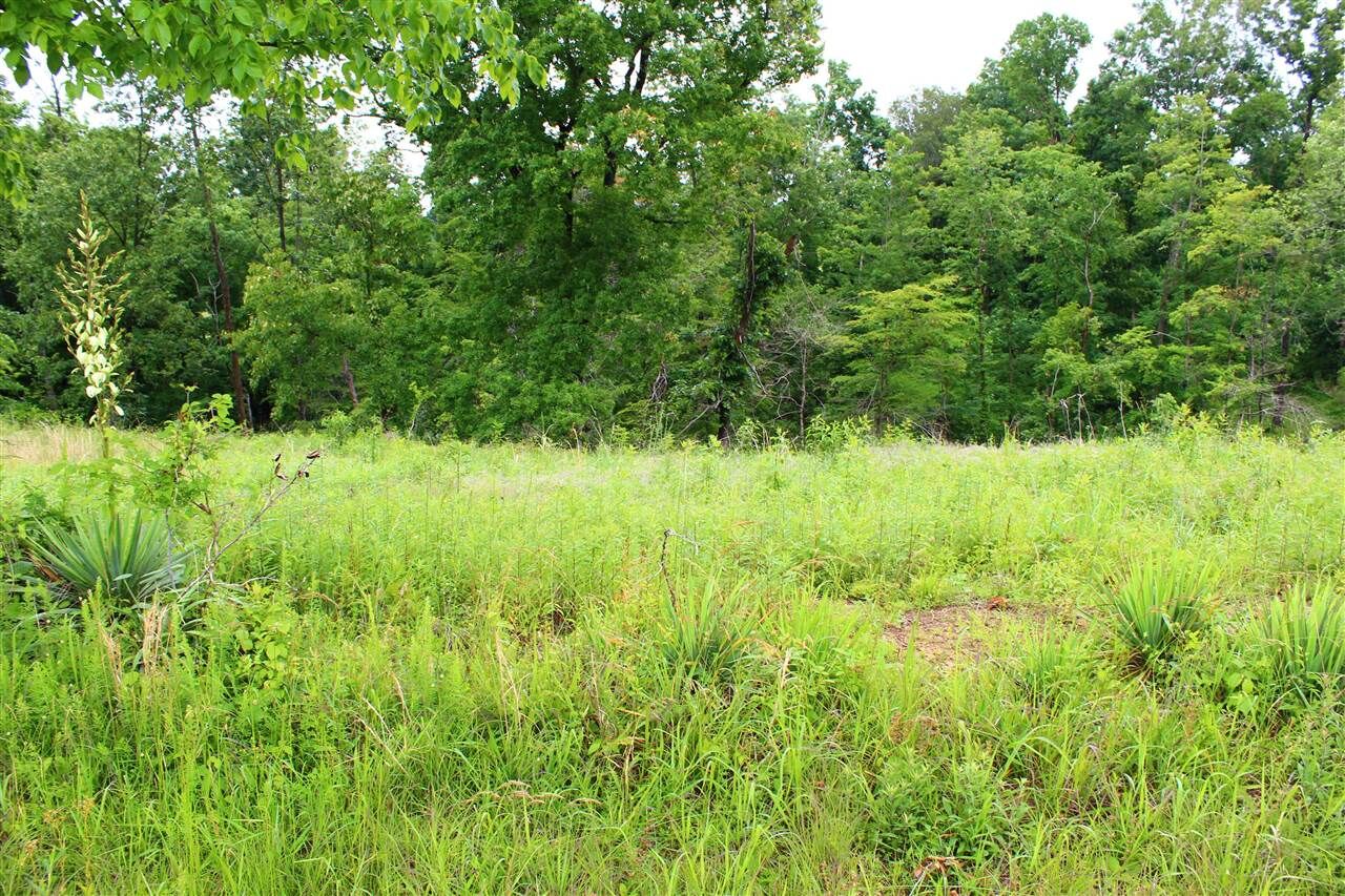 Property Photo:  3B Halifax Bailey Road  KY 42164 