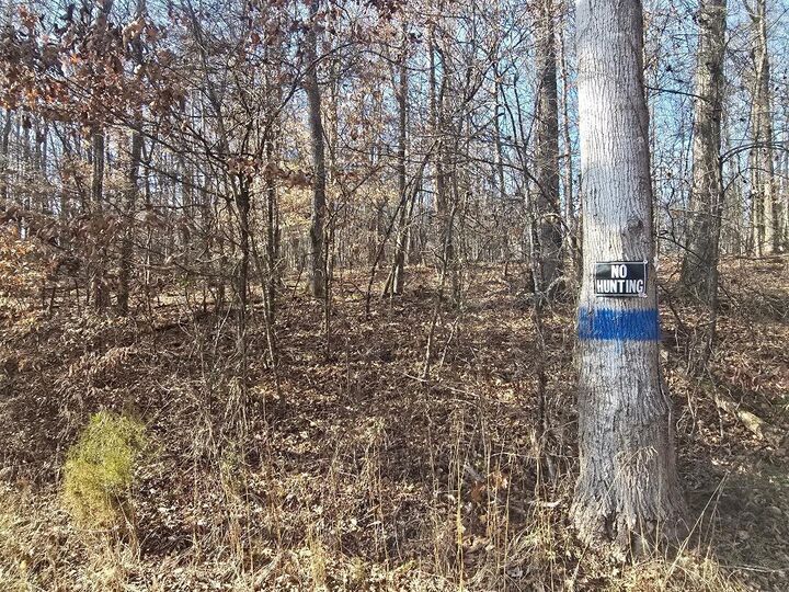 Property Photo: Lot 16 River Road TN 37322