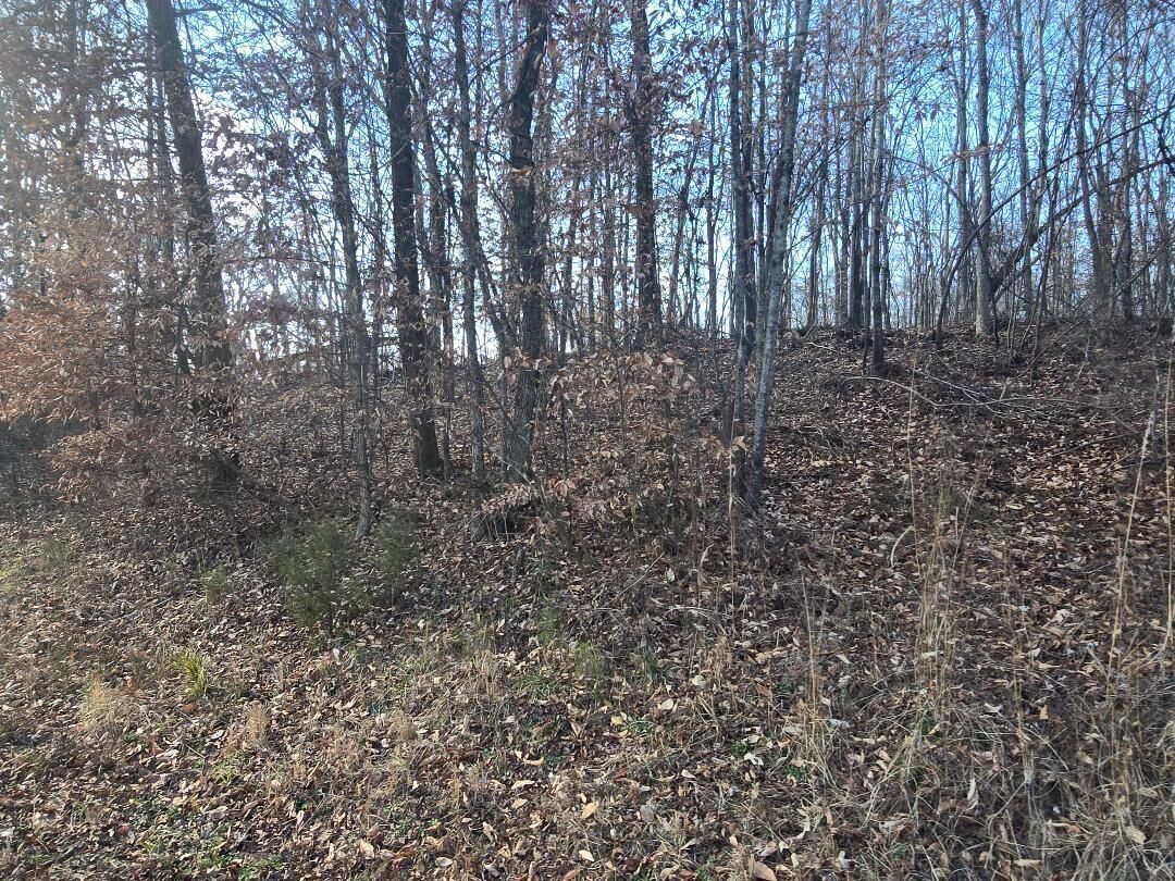 Property Photo:  Lot 15 River Road  TN 37322 