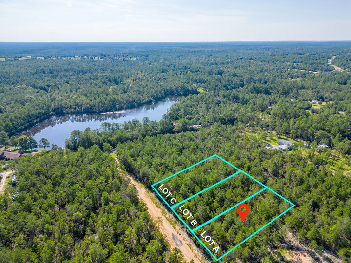 Property Photo: Lot A Avocado Lane FL 32433