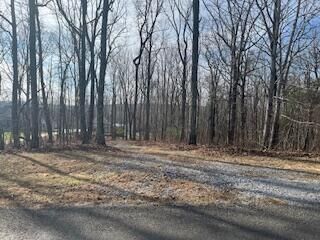 Property Photo:  214 Gray Creek Road  TN 37338 