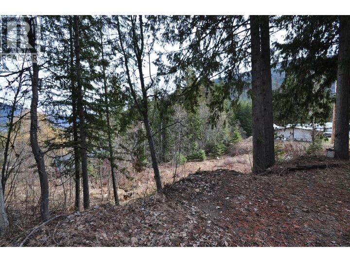 2835 Silver King Road — photo 1