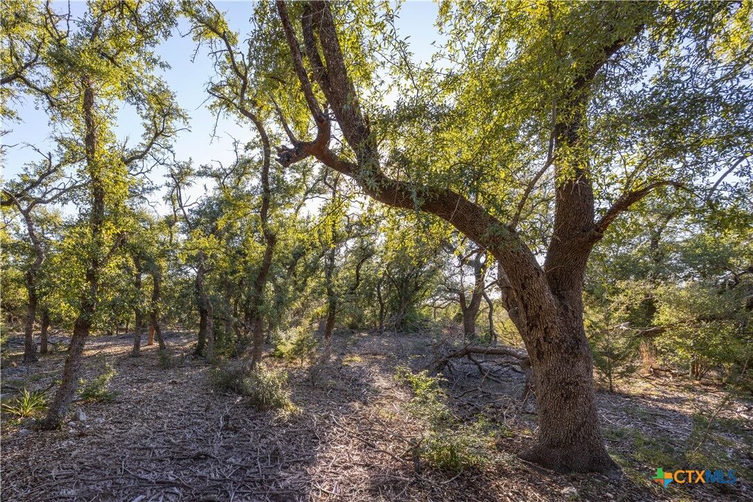 Property Photo:  130 Panorama Drive  TX 78676 