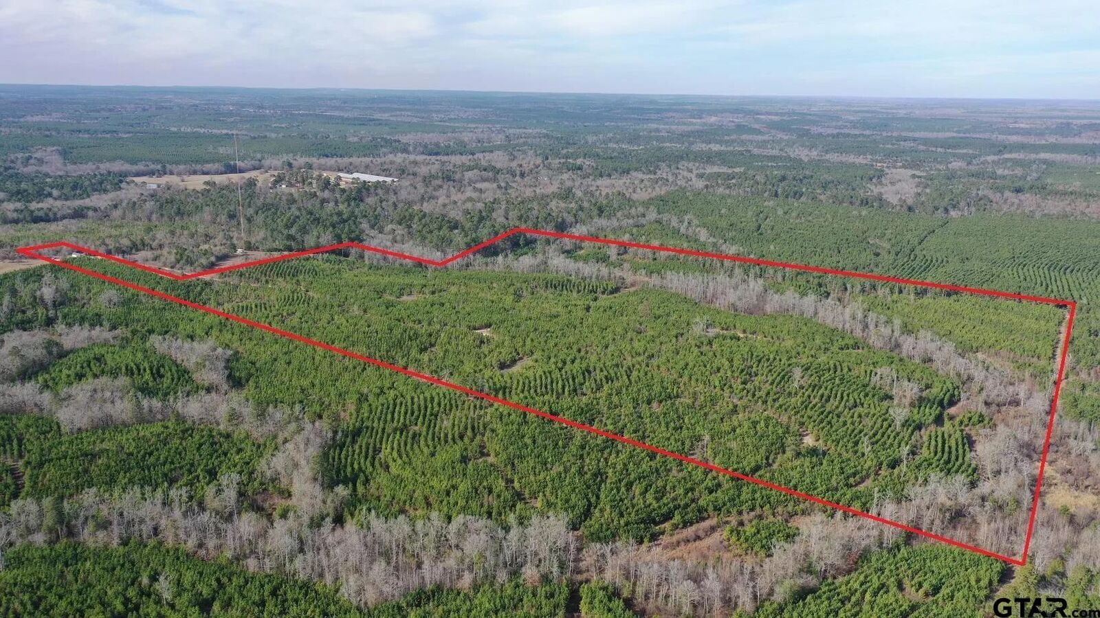 Property Photo:  Tbd Shady Grove Road  TX 75657 