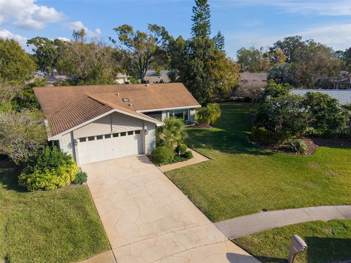 Property Photo:  1658 Macdonnell Court  FL 34684 