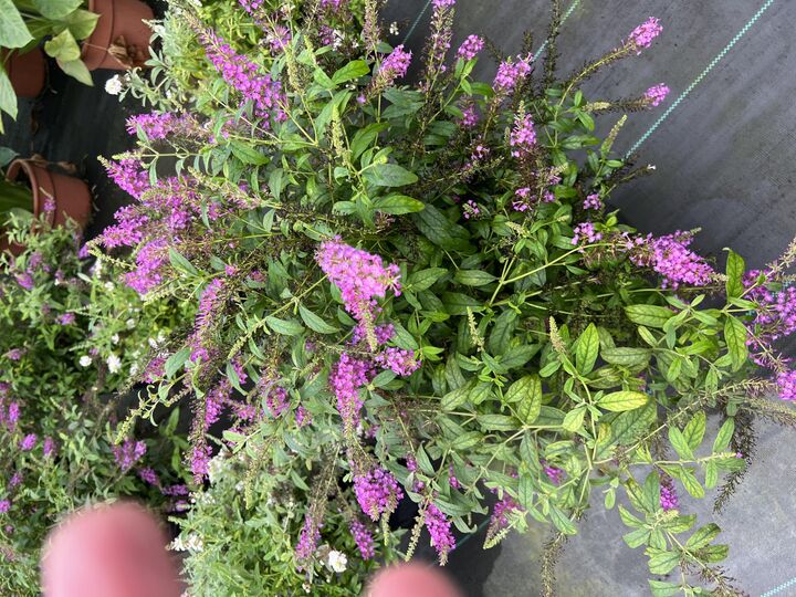 Property Photo:  19529 Kluver Road  MI 49117 