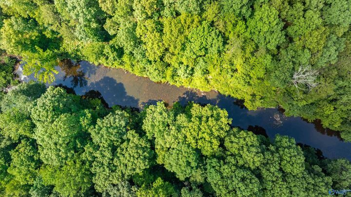 Property Photo:  8.7 Acres County Road 632  AL 35984 