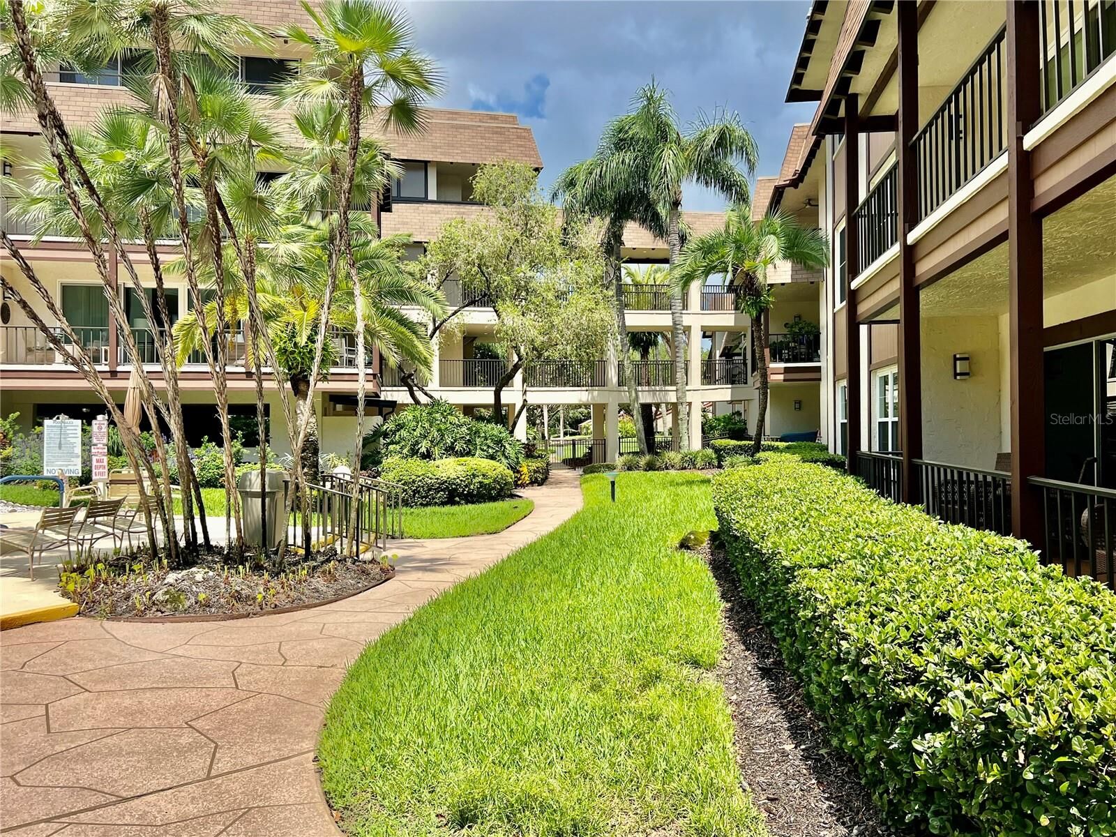 Property Photo:  3021 Countryside Boulevard 44A  FL 33761 