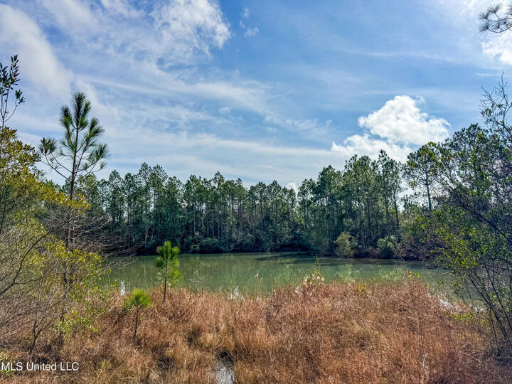 Property Photo:  R S Kimball Road  MS 39565 