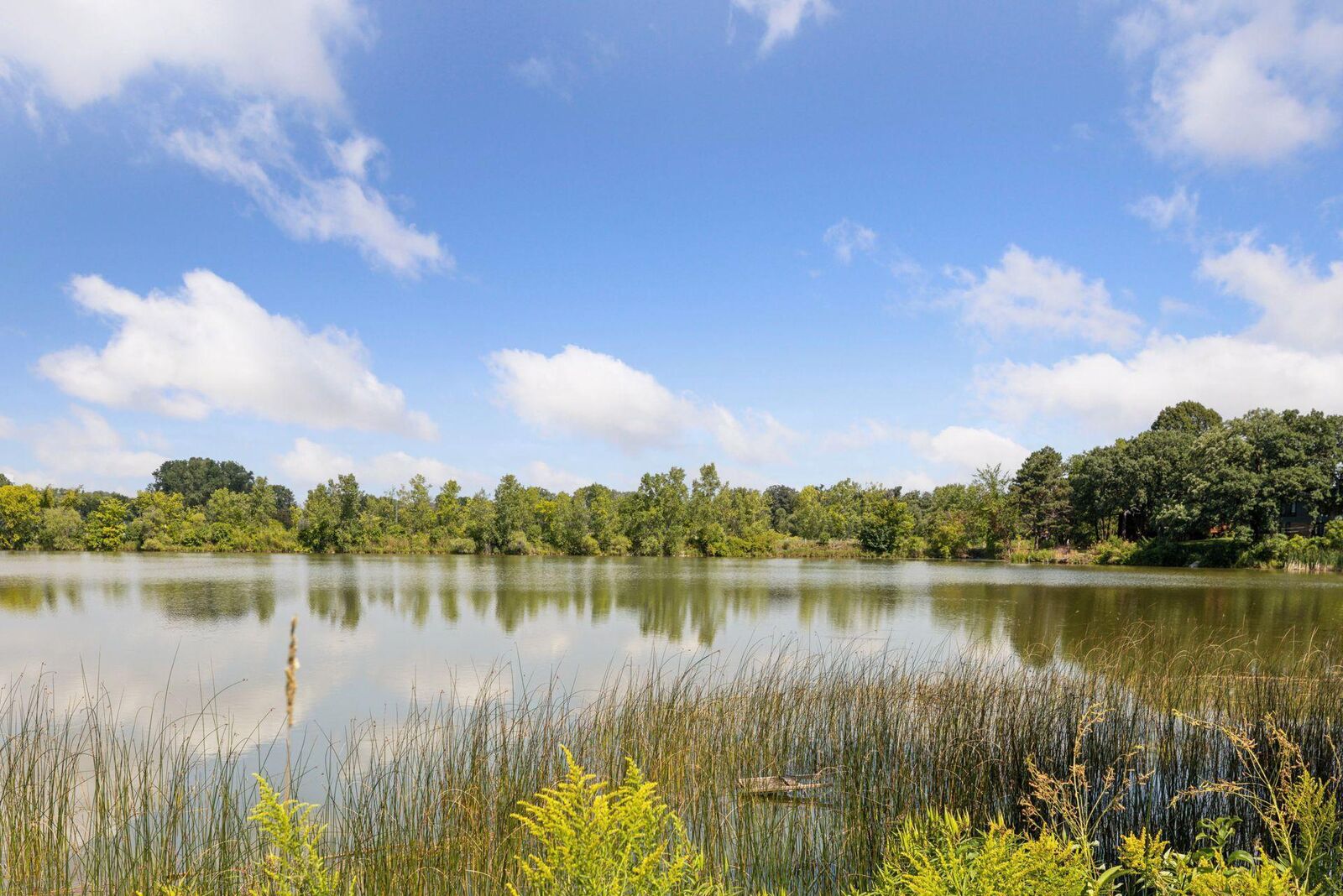 Property Photo:  6716 Point Drive  MN 55435 