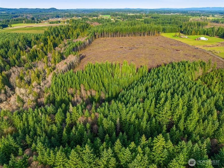 Property Photo:  0 Na  Nikula Road  WA 98596 