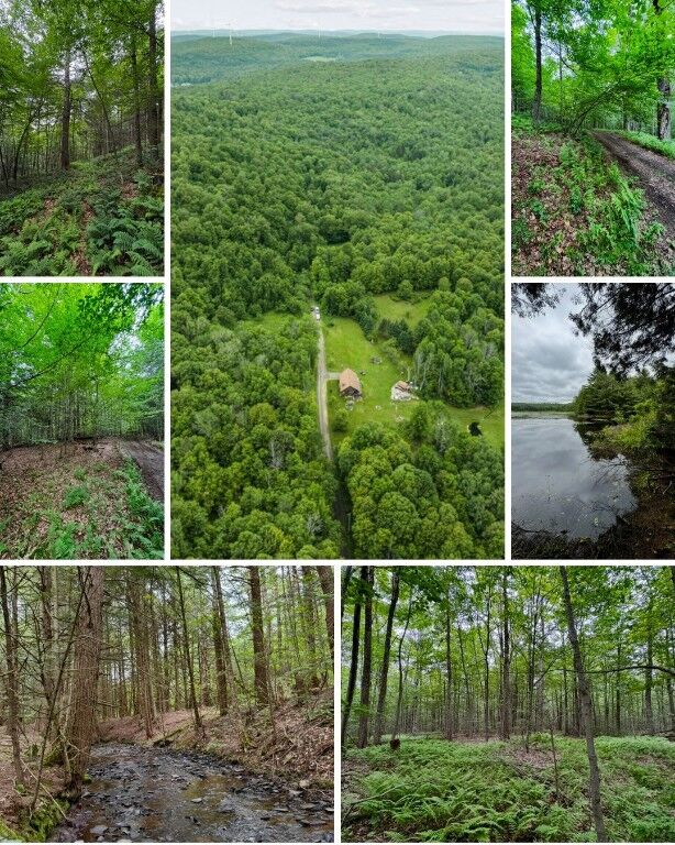 Property Photo:  308 Tennent Road 2  NY 13865 