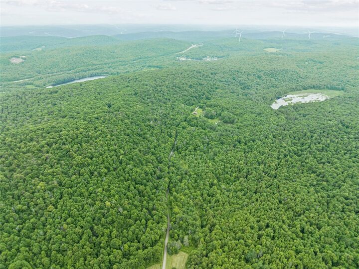 Property Photo:  308 Tennent Road 1  NY 13865 