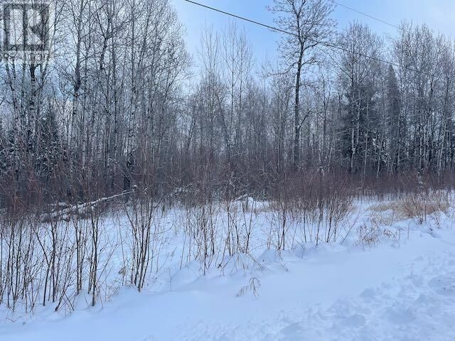 Property Photo:  191 Lakeview Rd  ON P8N 2Y4 