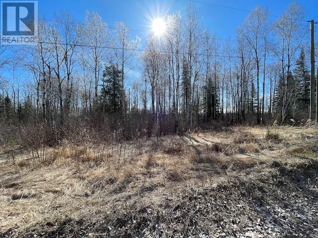 Property Photo:  191 Lakeview Rd  ON P8N 2Y4 