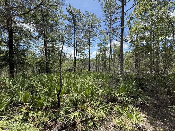 Property Photo:  Lot 39 Blk 68 On Clearwater  FL 32433 