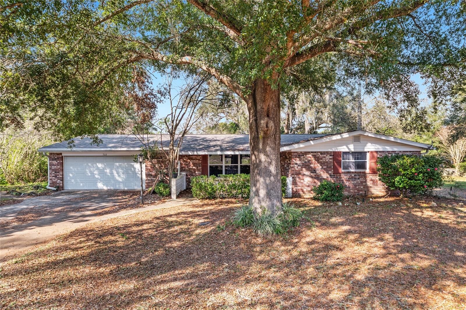 Property Photo:  560 E Country Club Drive  FL 32696 