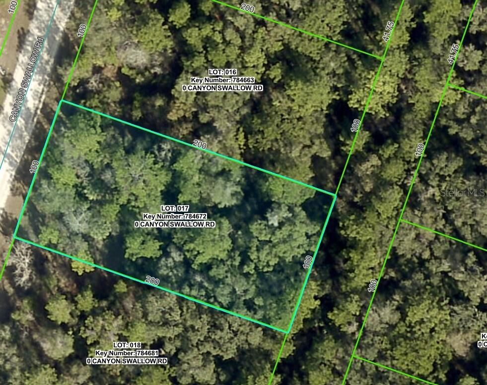 Property Photo:  Lot 17 Canyon Swallow Road  FL 34614 