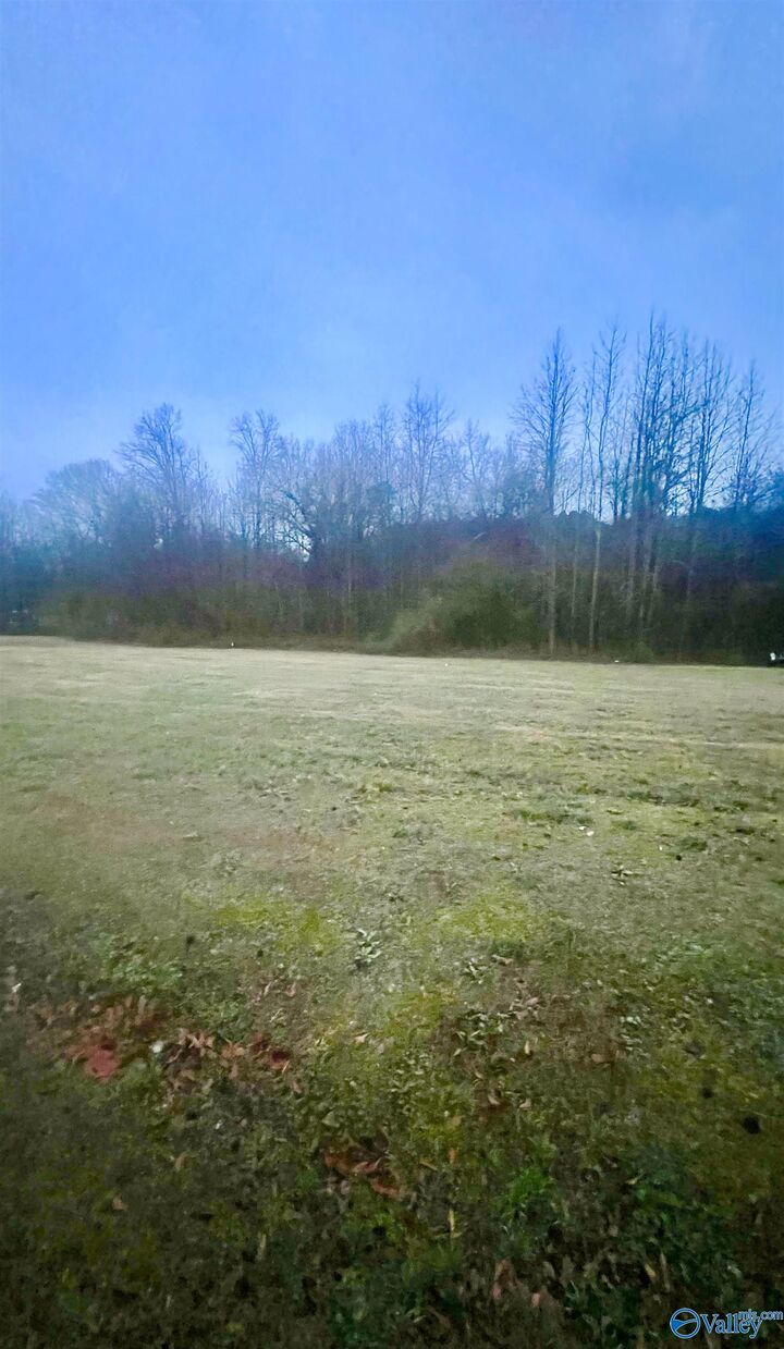 Property Photo:  Lot 1 Holcomb Road  AL 35976 
