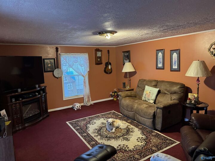 Property Photo:  277 Laser Drive  AL 35957 