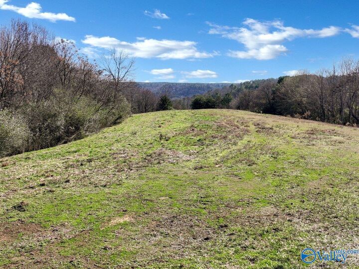 Property Photo:  215 County Road 83  AL 35033 