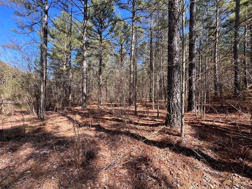 Property Photo: Lot 50 Deyton Drive GA 30512