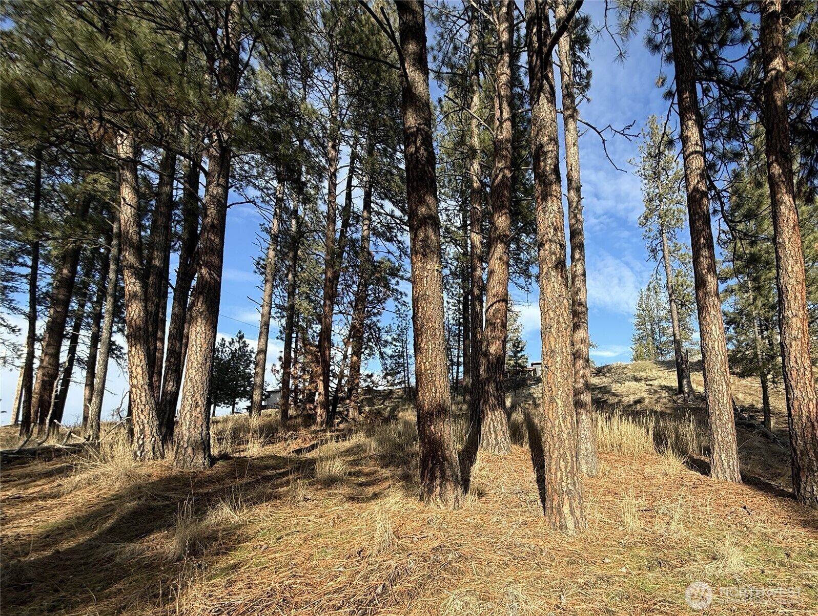 Property Photo:  0  Adams Street  WA 99166 