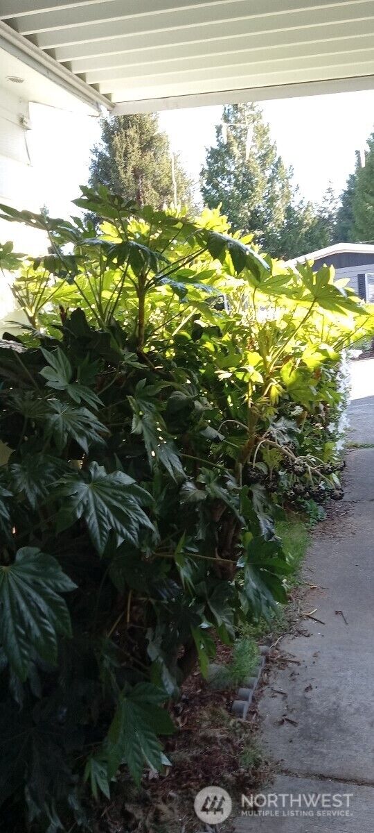 Property Photo:  16300  State Highway 305  NE 50  WA 98370 