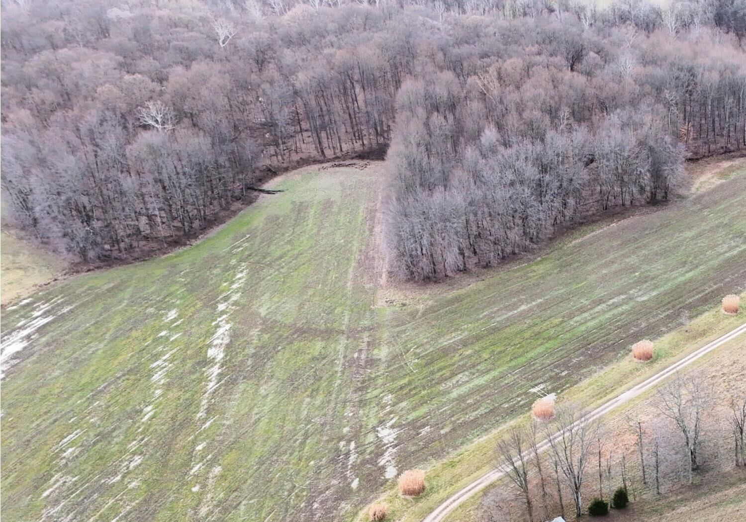 Property Photo:  0 Ridge Lane  IN 47041 