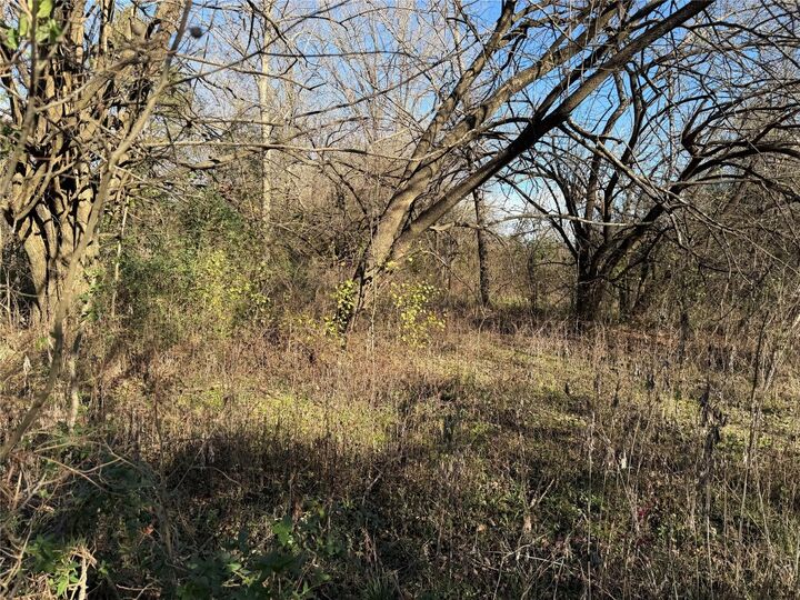 Property Photo:  Tbd County Road 925 Tract 17 Road  TX 76667 