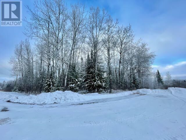 Property Photo:  199 Lakeview Rd  ON P8N 2Y4 