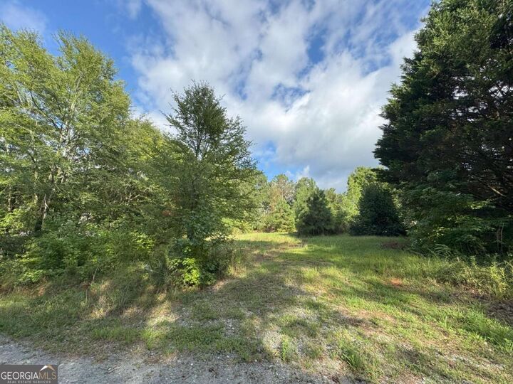 Property Photo:  155 Mulberry Lane  GA 30633 