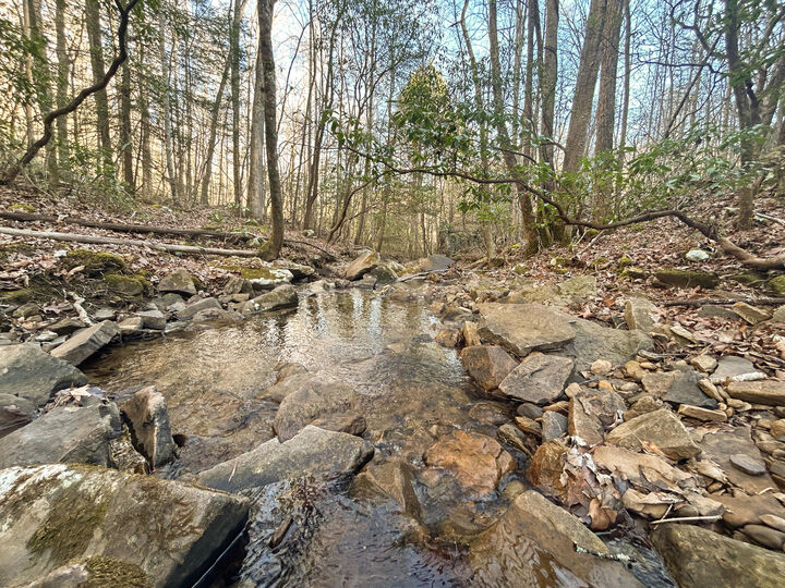 Property Photo:  0 Deerhead Road  TN 37327 