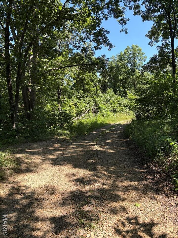 Property Photo:  511 A Wayne  MO 63763 