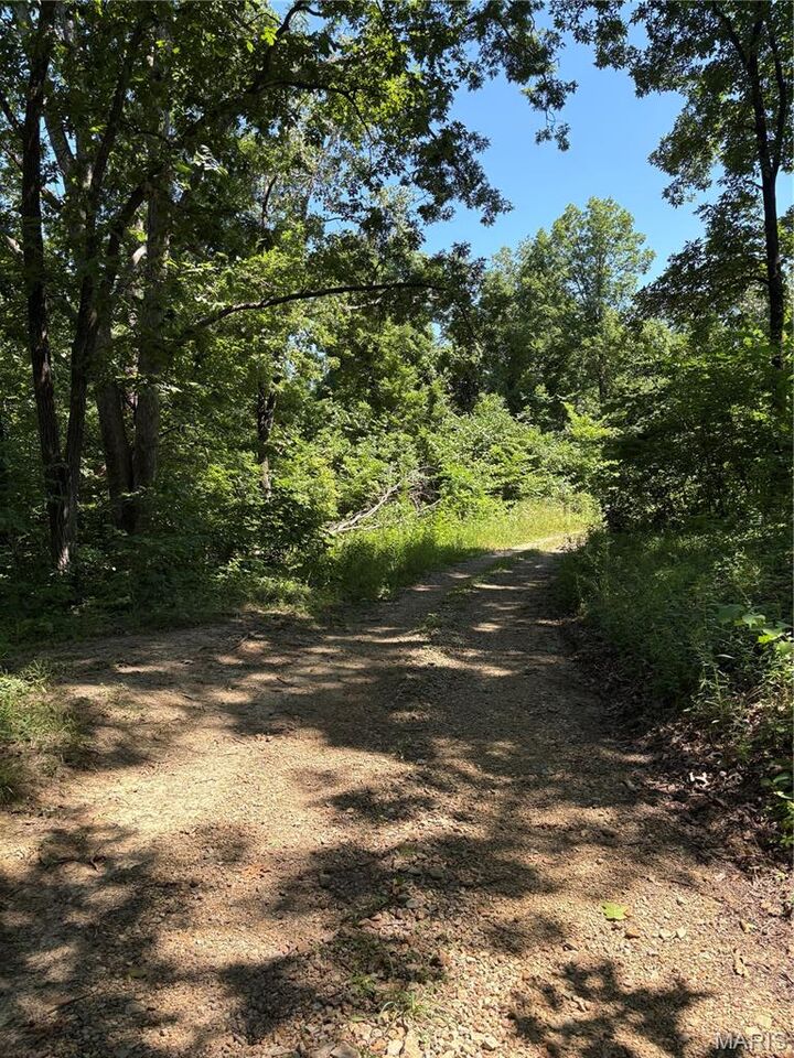 Property Photo: 511 A Wayne MO 63763