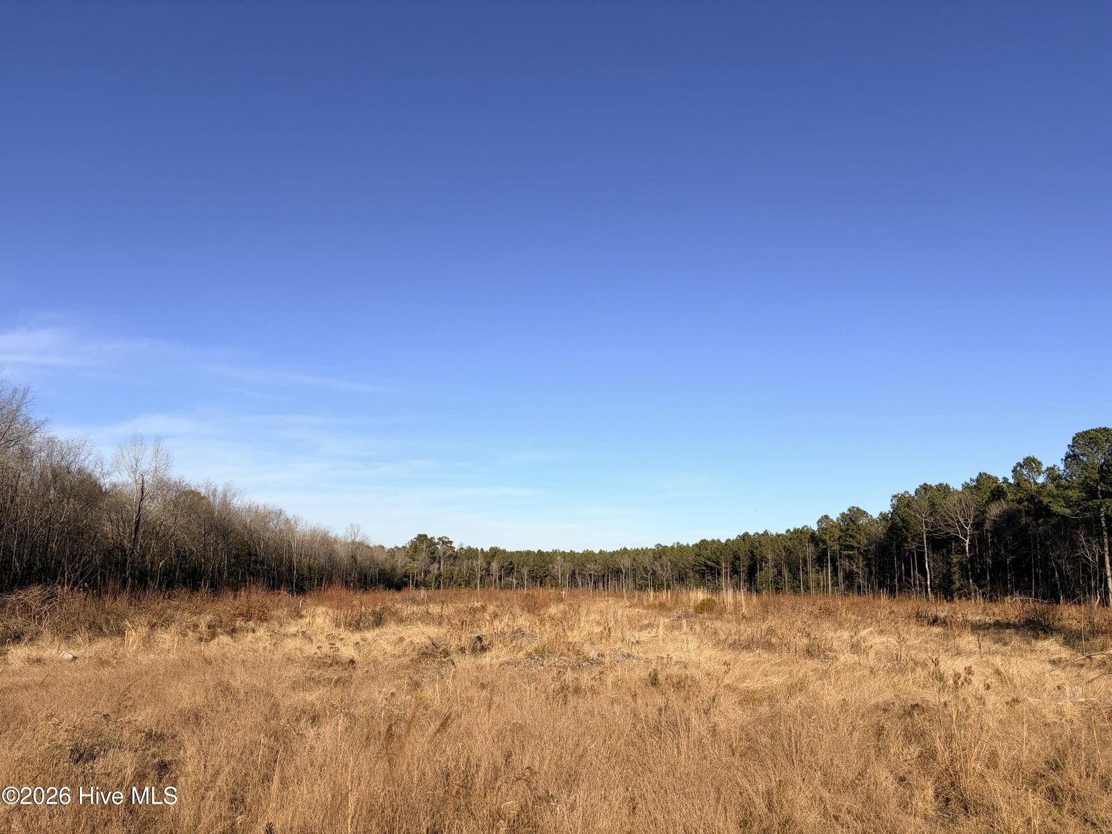 Property Photo: 0 Red Oak Boulevard NC 27856