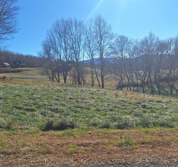 Property Photo:  0 Big Valley Drive  GA 30560 