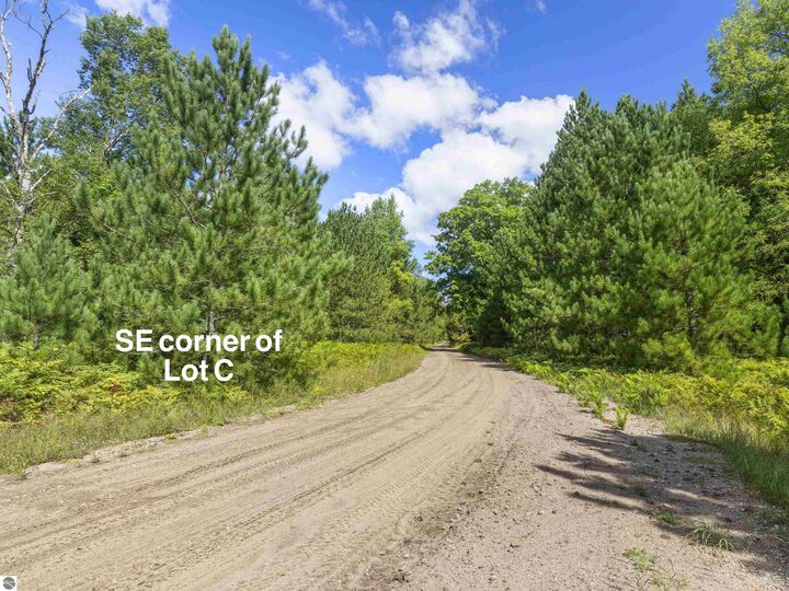 Property Photo: 15 Acres C Wallin Road MI 49683