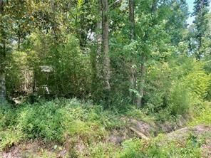 Property Photo:  Destin Street  LA 70448 