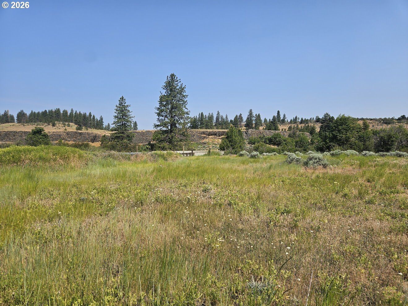 Property Photo:  Olson Rd  WA 98620 