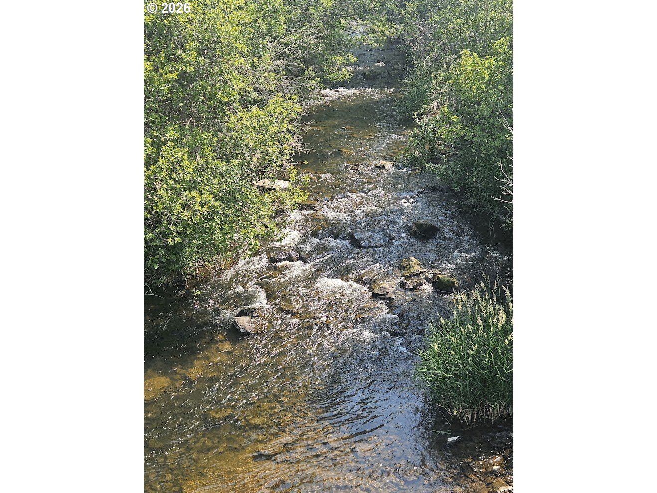 Property Photo:  Olson Rd  WA 98620 