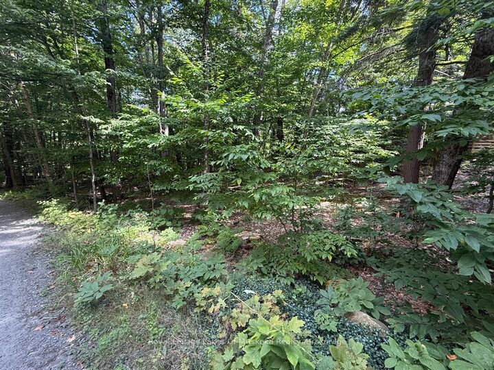 Property Photo:  Lot 85 Brennan Circle  ON P1H 2J2 