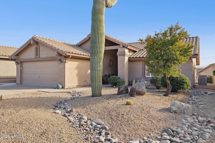 Property Photo:  8381 E Golden Cholla Drive  AZ 85118 